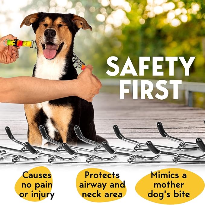 Prong Collar for Dogs