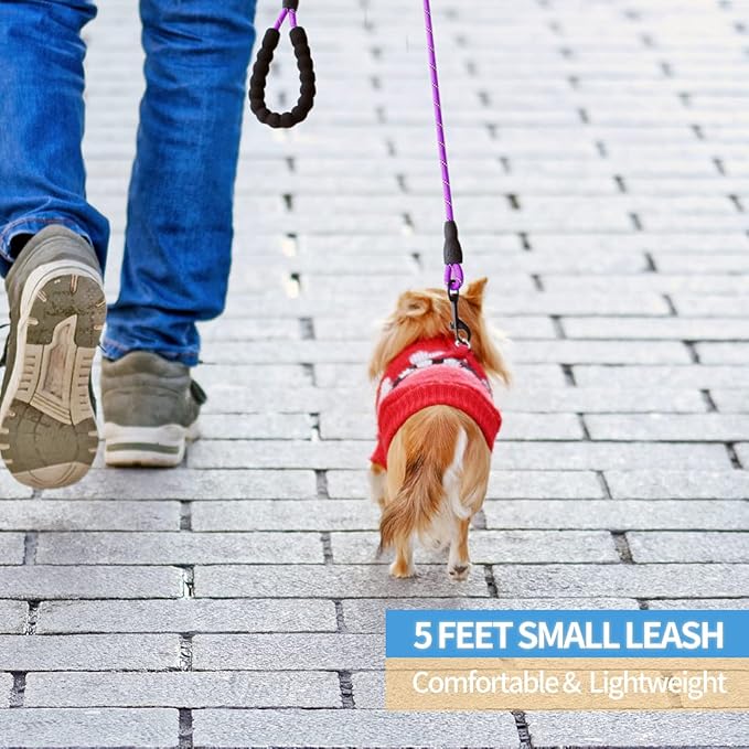 BAAPET 2/4/5/6 FT Dog Leash with Comfortable Padded Handle and Highly Reflective Threads for Small Medium and Large Dogs (5FT-1/3''