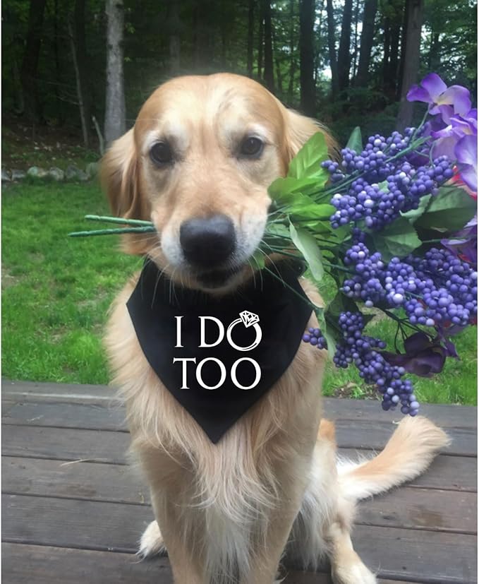 Engagement Gift, My Humans are Getting Married I Do Too Dog Bandana, Engagement Announcement Dog Bandana, Dog Wedding Bandana, Engagement Photo Prop, Pet Scarf, Pet Accessories