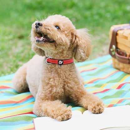 azuza Reflective Dog Collar