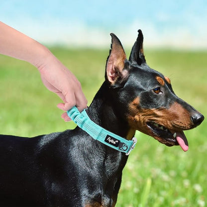 PUPTECK Heavy Duty Dog Collar with Handle Bungee for Small Medium Large Dogs