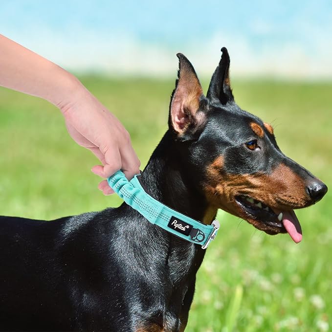 PUPTECK Heavy Duty Dog Collar with Handle Bungee for Small Medium Large Dogs