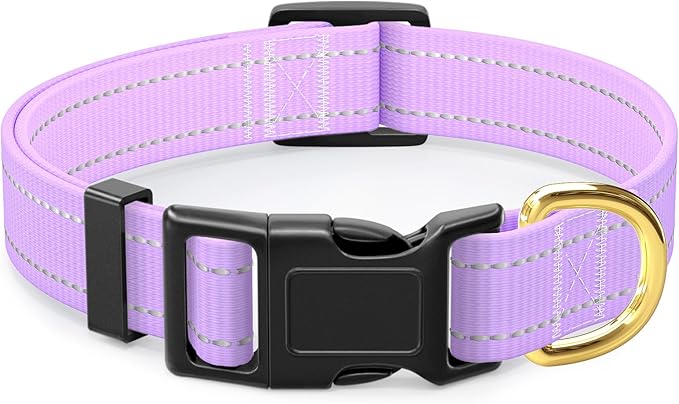 Reflective Dog Collar
