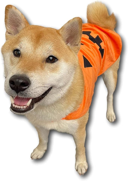 ComfyCamper Pumpkin Dog Costume - X Large Medium Small Shepherd French Lab Retrieve Pet Cosplay Halloween Costumes (X-Large)