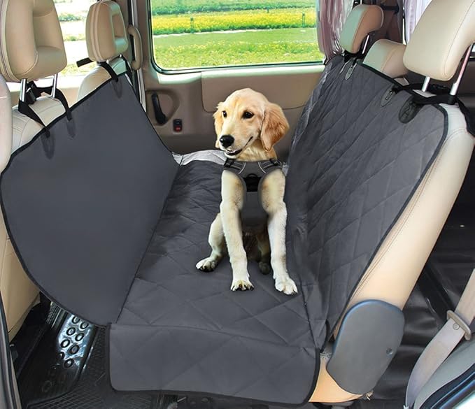 Best Pet Supplies Water Resistant Back Seat Cover for Dogs with Protective Pouch 58 * 54, CS210-GR