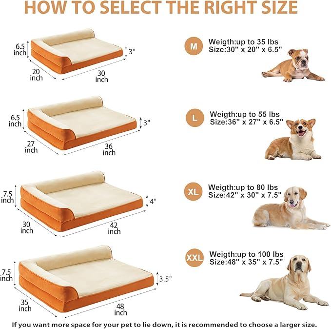 Orthopedic Dog Beds for Medium Dogs