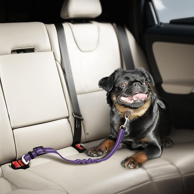 Adjustible Dog Car Harness