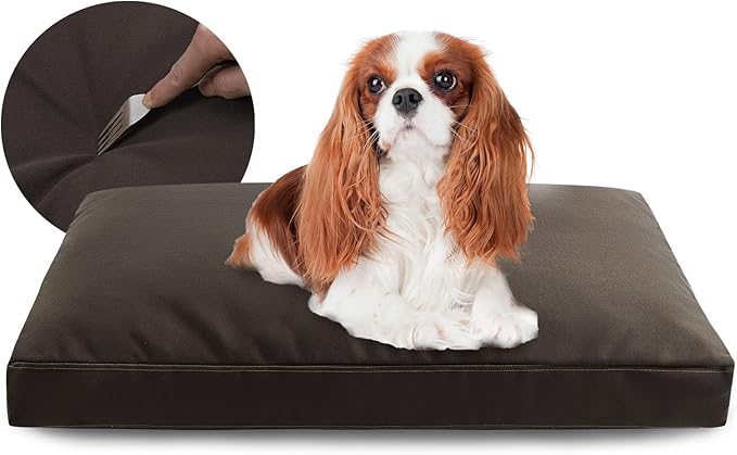 Miguel Durable Canvas Dog Bed 14 Ounce 30 x 20 inch,