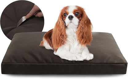 Miguel Durable Canvas Dog Bed 14 Ounce 30 x 20 inch,