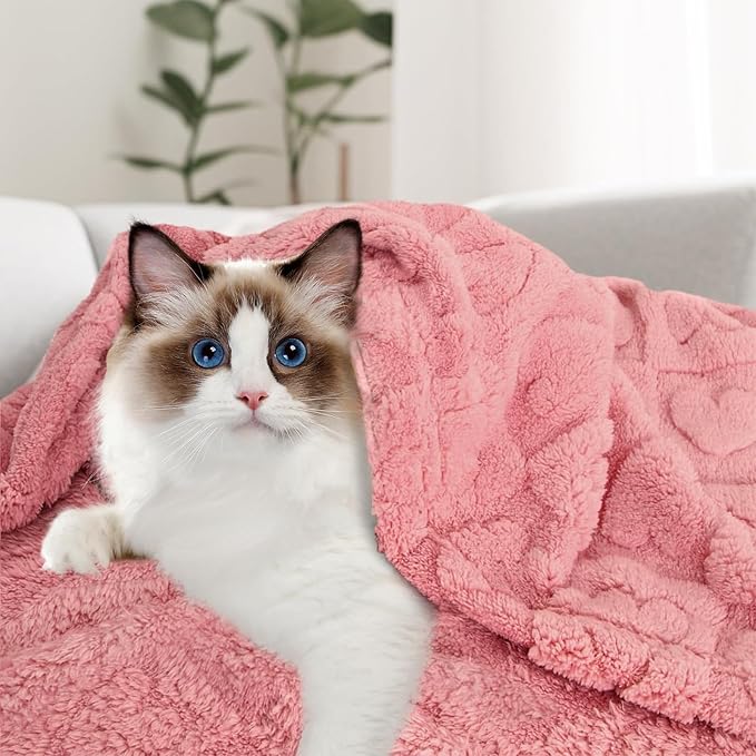 MACEVIA Fluffy Fleece Dog Blankets (24x29 Inch,Pink)