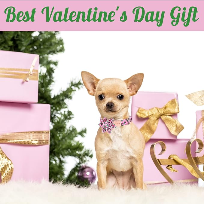 Unique style paws Dog Collar with Flower Tie