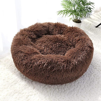 Cat Beds for Indoor Cats