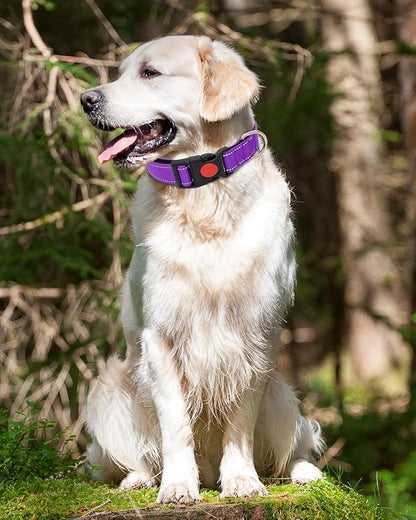 Reflective Dog Collar