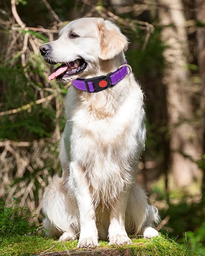 Reflective Dog Collar