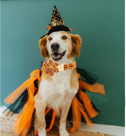 Lionheart glory Premium Halloween Dog Collars Flower Dog