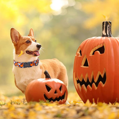 Unique style paws Dog Collar Metal Buckle Collar