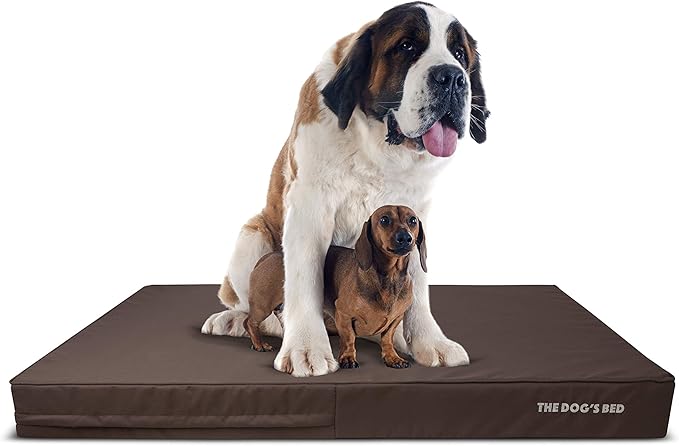The Dog’s Bed Orthopedic Memory Foam Dog Bed 64x44, Pain