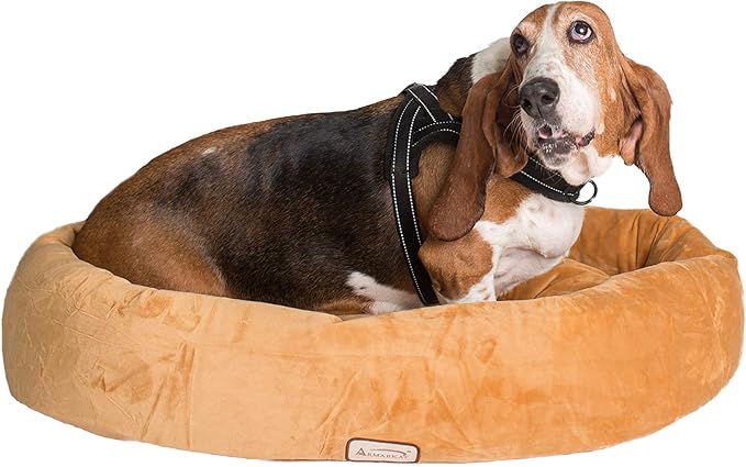 Armarkat Pet Bed 33-Inch by 24-Inch D02CZS-Medium