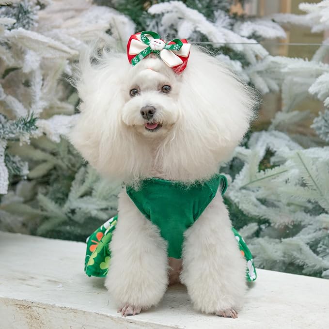 CuteBone St.Patrick's Day Dog Green Dress Velvet CVA13L-D
