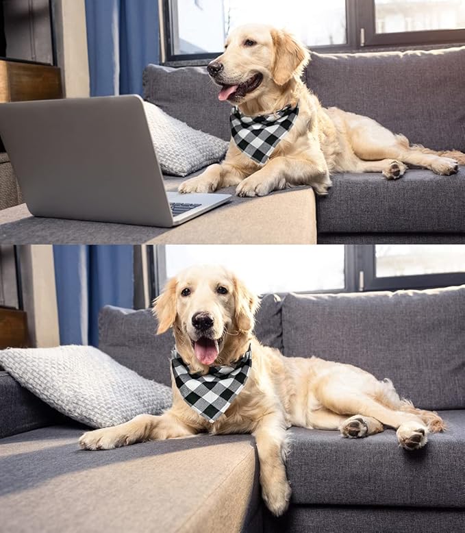 Birthday Plaid Dog Bandana with Button