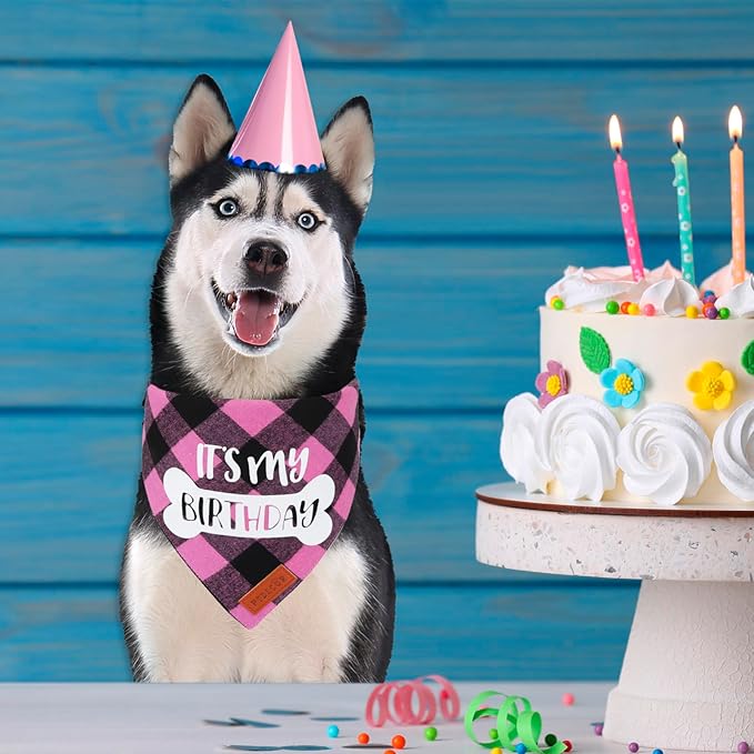 PTDECOR Dog Birthday Party Supplies