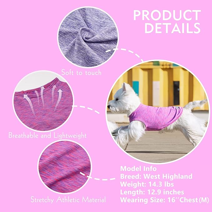 KYEESE 2 Pack Dog Shirts Quick Dry Soft Stretchy Sun Protection Dog T-Shirts with Reflective Label Tank Top Sleeveless Vest Dog Clothes for Small Medium Dogs