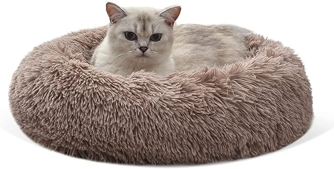Cat Beds for Indoor Cats 24 inches,