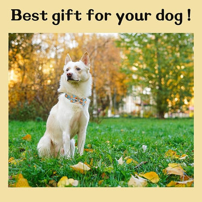 Unique style paws Halloween Dog Collar with Bow