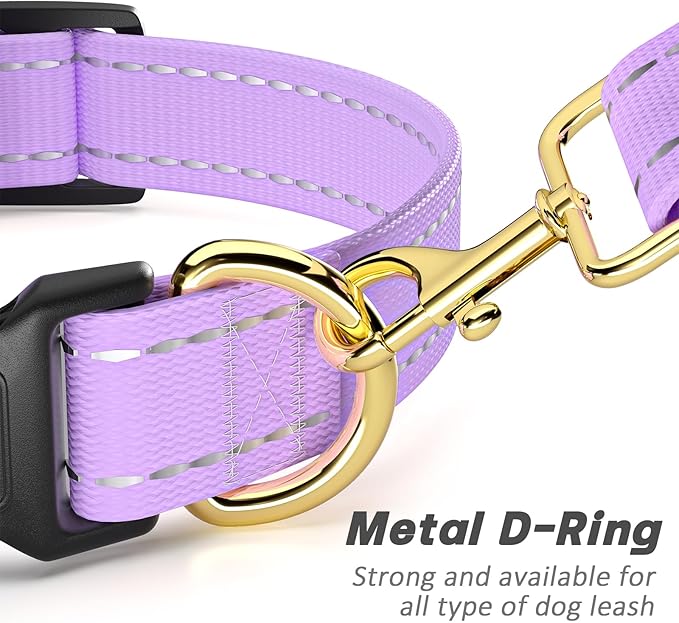 Reflective Dog Collar