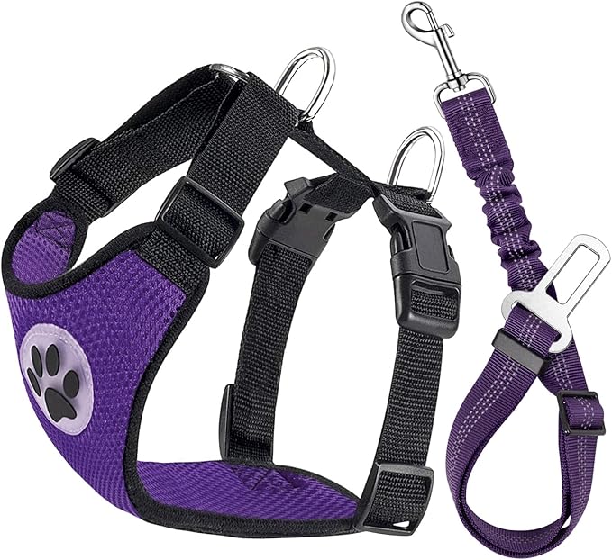 Lukovee Dog Seat Belt for Car, Adjustable Dog Car Harness for Large Medium Small Dogs, Soft Padded & Breathable Mesh Dog Seatbelt with Car Vehicle Connector Strap (Purple,XX-Small)