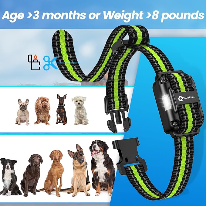 Dog Training Collar with 7 Training Modes 2600Ft Remote