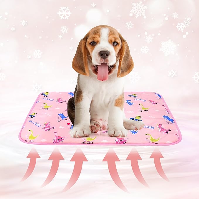 DELIFUR Cat Cooling Mat- Pet Outdoor Summer Cooling Cushion Self Cooling Pad for Cat Puppy Small Dog Machine Washable (Medium