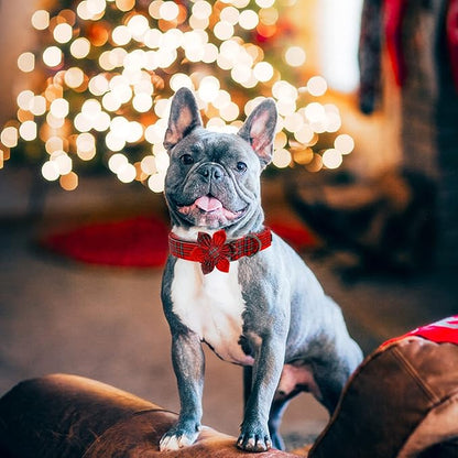Elegant little tail Dog Collar with Flower