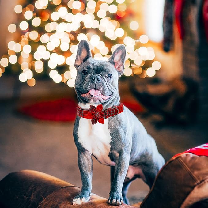 Elegant little tail Dog Collar with Flower