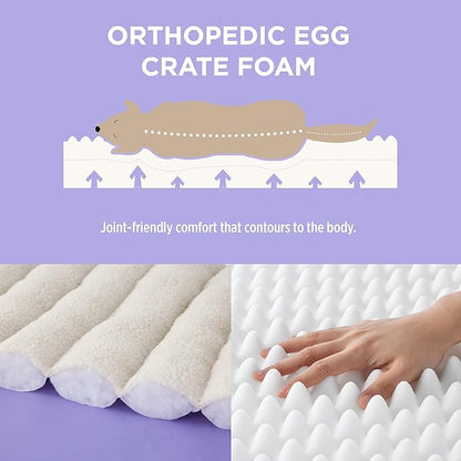 Lesure Orthopedic Dog Bed Sofa for Medium Dogs Foam(28" x 23" x 10", Cream)