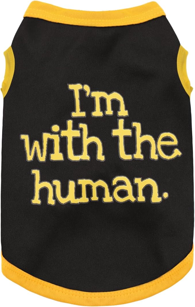 Elevate Your Pet's Seasonal Style with Playful Panache: Series5 Medium