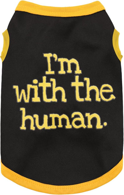 Elevate Your Pet's Seasonal Style with Playful Panache: Series5 XX-Large