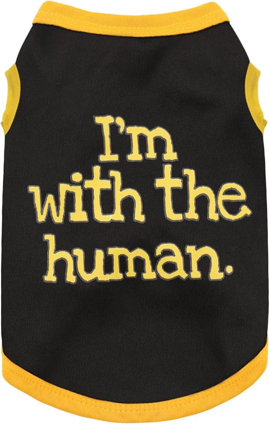 Elevate Your Pet's Seasonal Style with Playful Panache: Series5 XX-Large