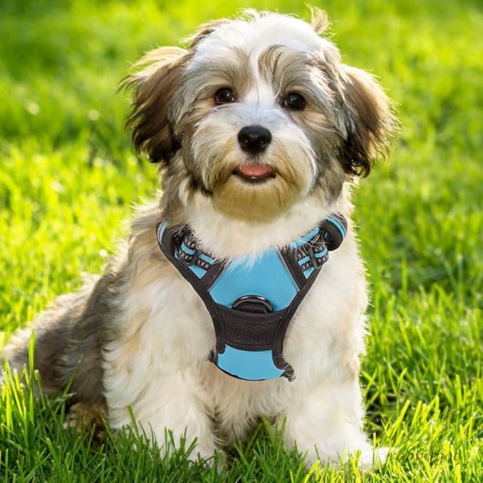 rabbitgoo Dog Harness, No-Pull Pet Harness with 2 Leash Clips, Adjustable Soft Padded Dog Vest, Reflective No-Choke Pet Oxford Vest with Easy Control Handle for Small Dogs, Blue, S