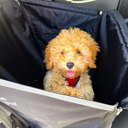 Integral Pet Travel Seat – Car Seat