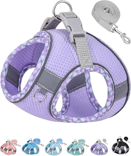 Petank Dog Harness for Small Medium Dogs No Pull, Puppy Harness and Leash Set, Easy Walk Dog Harness for Walking, Running, Training, Small Dog Harness, Medium Dog Harness (Purple, M)