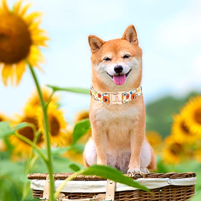 Lionheart glory Dog Collar Sunflower Print Dogs Collar
