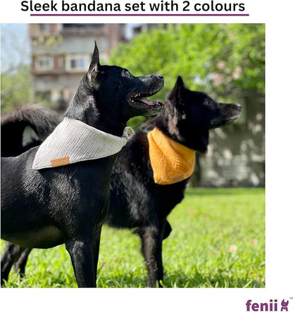 Premium Cotton Dog Bandanas 2 Pack