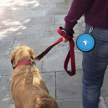 Collapsible Dog Bowls for Travel, 2-Pack Dog Portable Water Bowl for Dogs Cats Pet Foldable Feeding Watering Dish for Traveling Camping Walking with 2 Carabiners, BPA Free