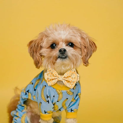 Adjustable Pet Bow Tie and Dog Collar for Small Medium Large Dogs