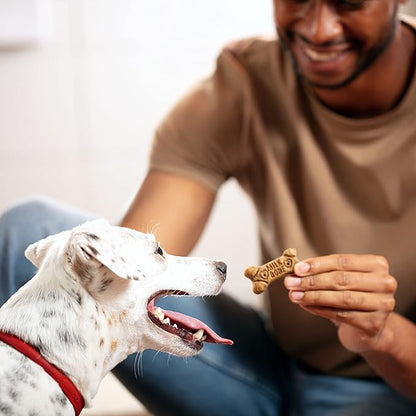 Milk-Bone Flavor Snacks Dog Treats, Small Biscuits, 24 Ounce Crunchy Texture Helps Reduce Tartar (Pack of 2)