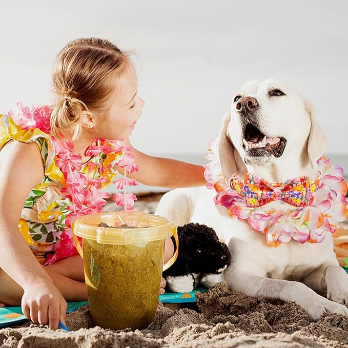 Elegant little tail Dog Collar with Bow