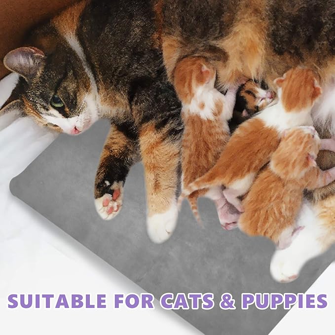 Pet Heating Pad for Cat Dog