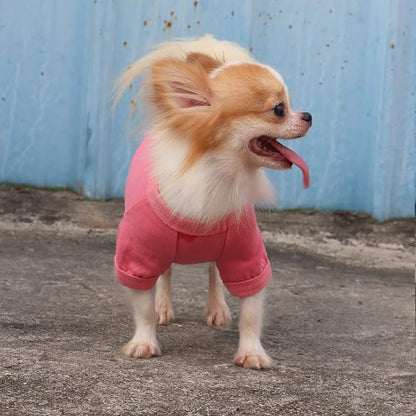 LOPHIPETS 100% Cotton Dog Tee Shirt for Small