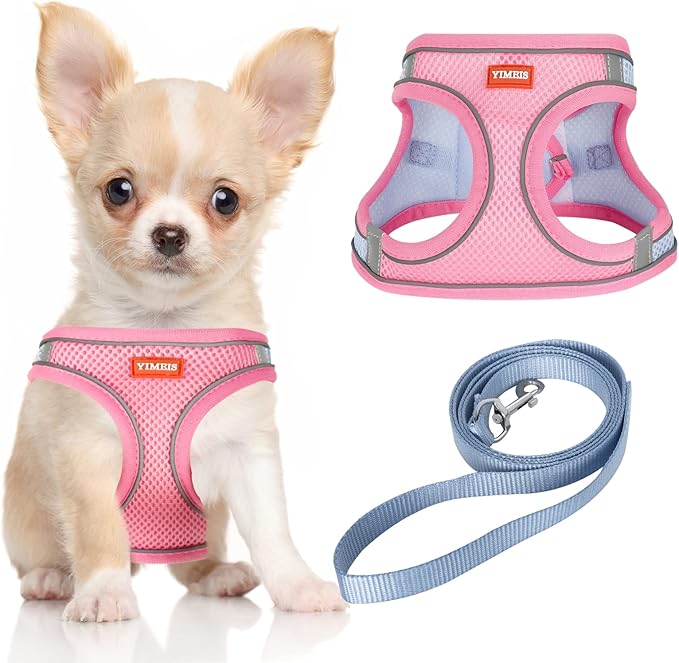 YIMEIS Dog Harness and Leash Set, No Pull Soft Mesh Pet Harness, Reflective Adjustable Puppy Vest for Small Medium Large Dogs, Cats (Pinkblue, X-Small (Pack of 1)